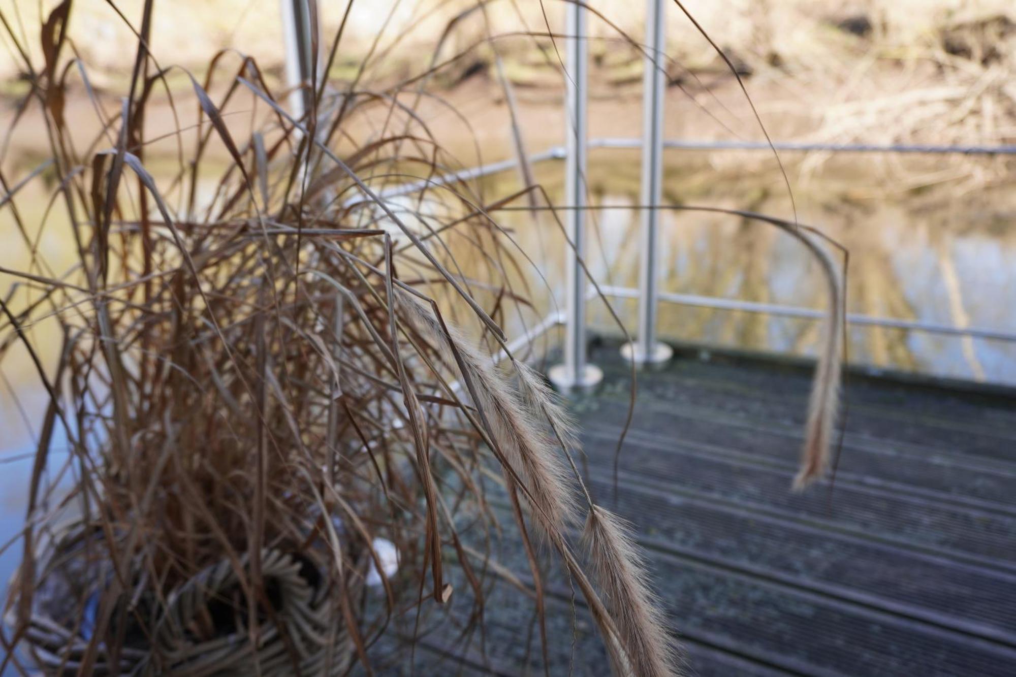 Hausboot Stoeckte Villa Winsen  Exteriör bild